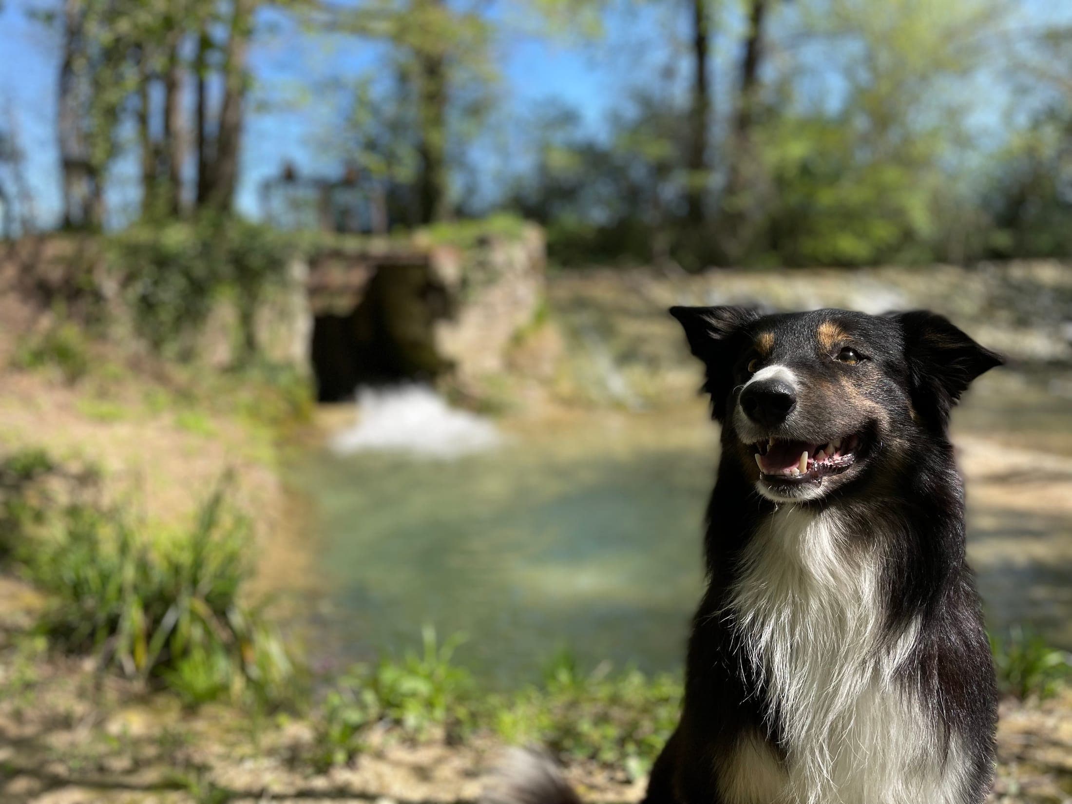 Au bord de l'eau, près du vieux pont en pierre